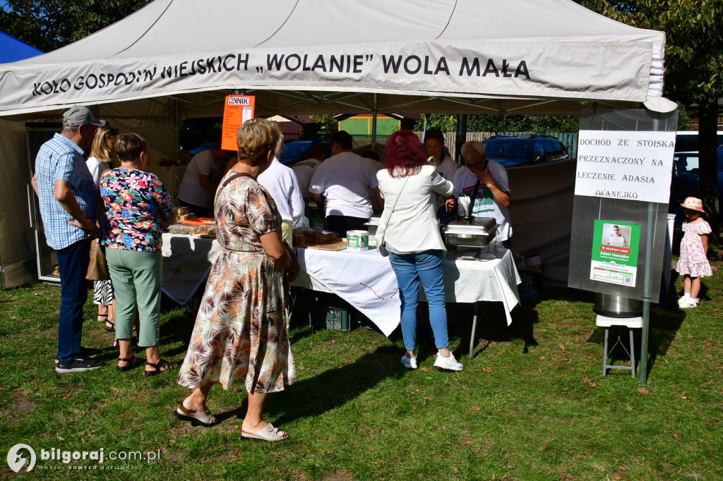 Smakowita niedziela w Biłgoraju – Festiwal Smaków 2025