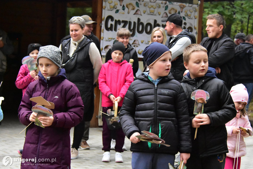 Grzybobranie w Korczowie