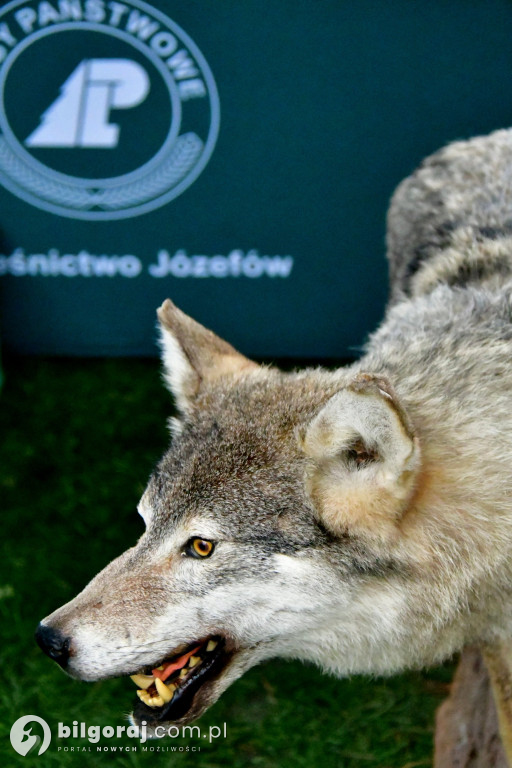 Łukowa. Hubertus jeździecki