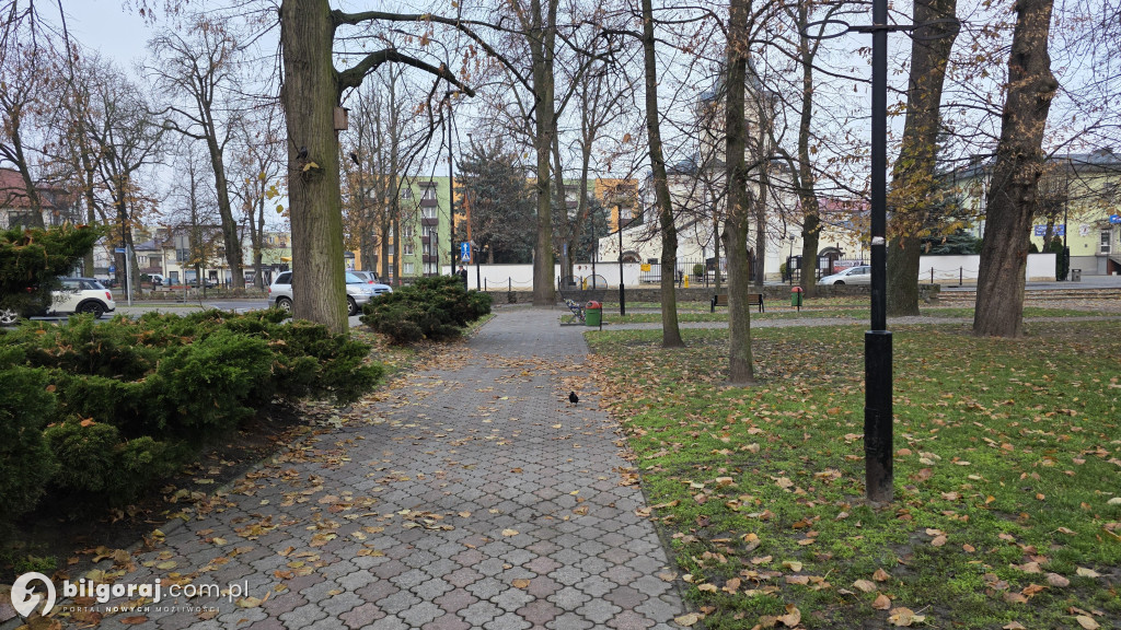 7 ofert w przetargu: Burmistrz Gleń o postępach rewitalizacji Skweru Saskiego