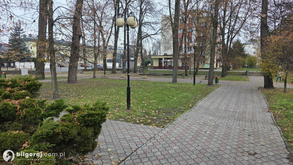 7 ofert w przetargu: Burmistrz Gleń o postępach rewitalizacji Skweru Saskiego