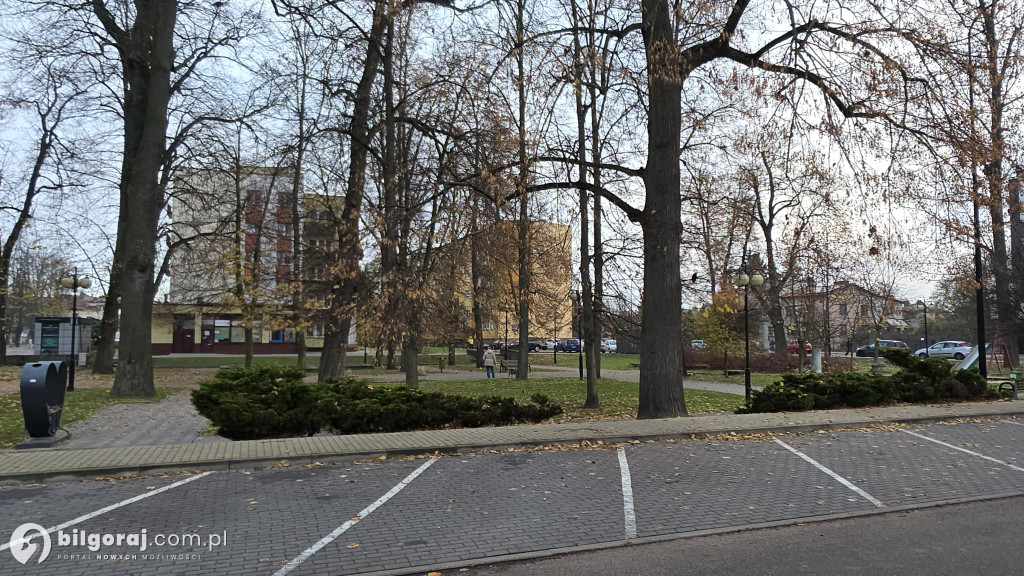 7 ofert w przetargu: Burmistrz Gleń o postępach rewitalizacji Skweru Saskiego