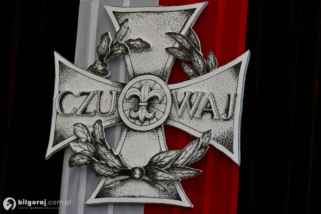 Zuchy i harcerze świętowali w Biłgoraju. Festiwal w ZSZiO