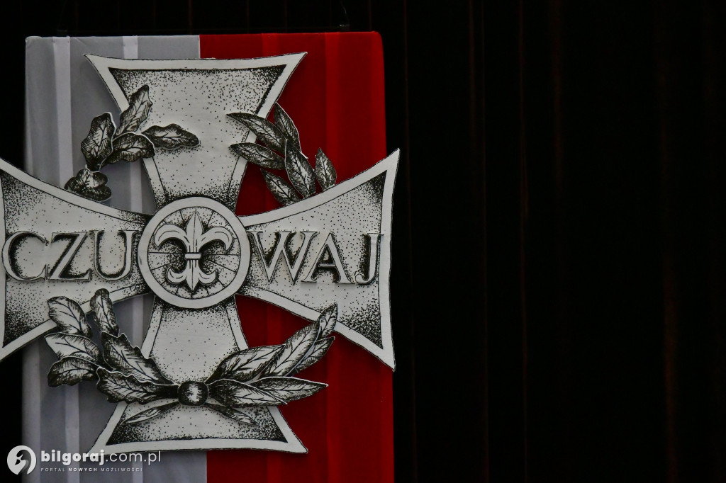 Zuchy i harcerze świętowali w Biłgoraju. Festiwal w ZSZiO