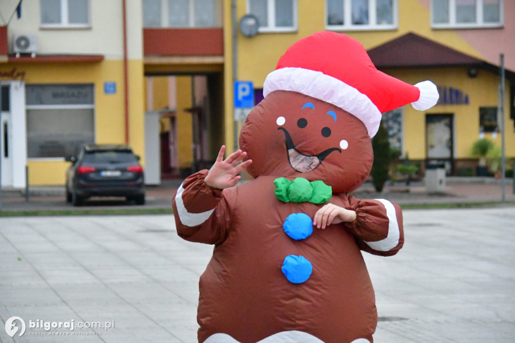 Rekreacyjny Bieg Mikołajkowy i Cross Biłgorajski po raz dziewiąty