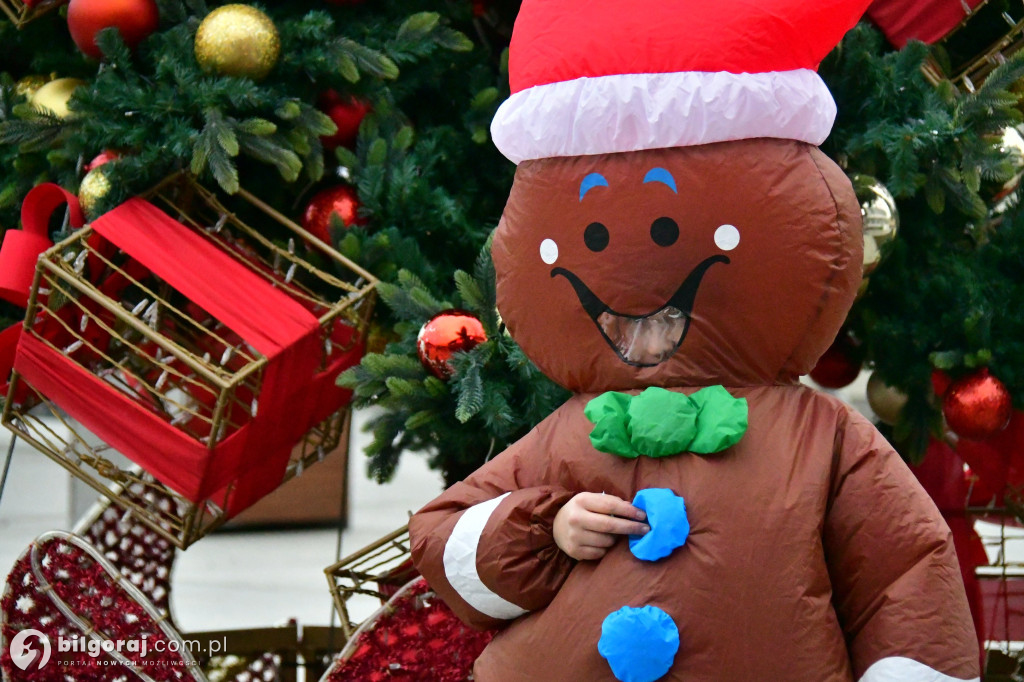 Rekreacyjny Bieg Mikołajkowy i Cross Biłgorajski po raz dziewiąty