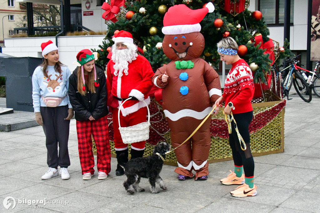 Rekreacyjny Bieg Mikołajkowy i Cross Biłgorajski po raz dziewiąty
