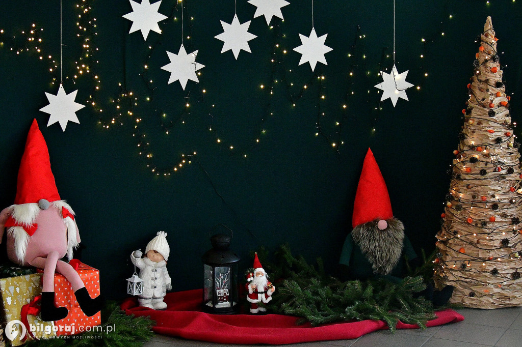 Karp, barszcz i... piernik marchewkowy: Świąteczne propozycje uczniów ZSZiO