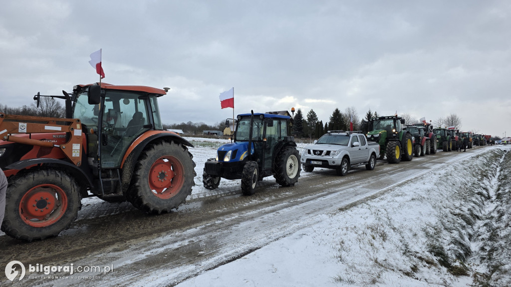Demonstracja zamiast blokad. Rolnicy z Ziemi Biłgorajskiej protestują