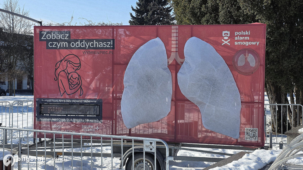 Czym oddycha Frampol? Mobilne płuca na rynku i debata o smogu