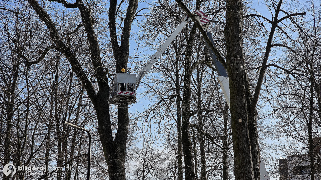 Trwa rewitalizacja Skweru Saskiego