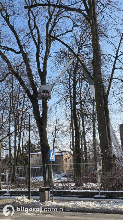 Trwa rewitalizacja Skweru Saskiego