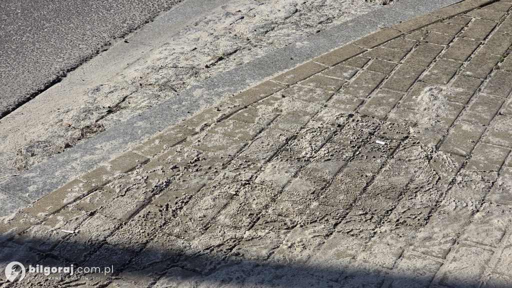 Biłgoraj. Wielkie sprzątanie miasta w toku