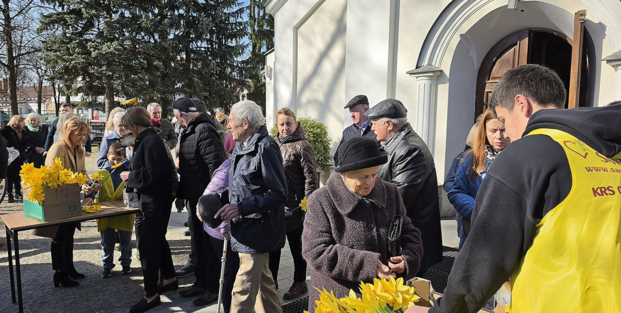 Żonkile nadziei w Biłgoraju. Wsparcie dla Hospicjum Santa Galla
