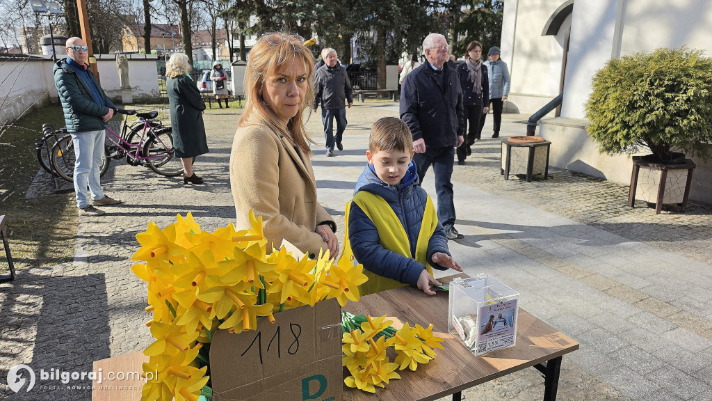 Żonkile nadziei w Biłgoraju. Wsparcie dla Hospicjum Santa Galla