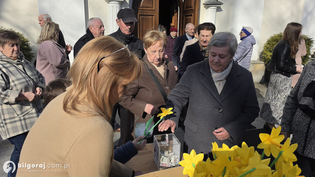 Żonkile nadziei w Biłgoraju. Wsparcie dla Hospicjum Santa Galla