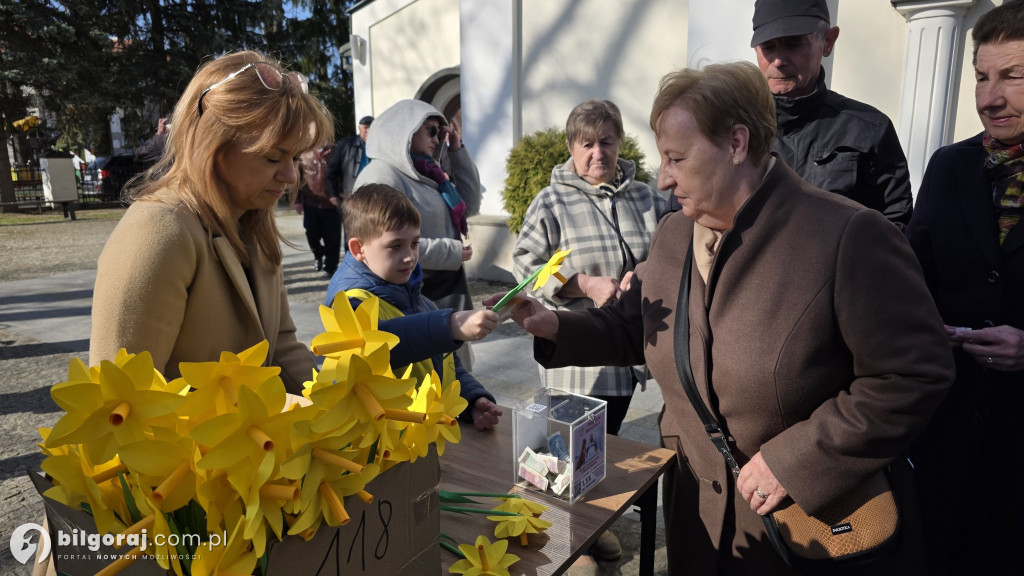 Żonkile nadziei w Biłgoraju. Wsparcie dla Hospicjum Santa Galla