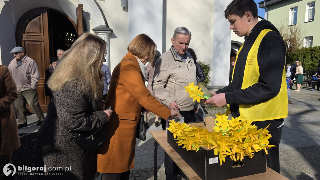 Żonkile nadziei w Biłgoraju. Wsparcie dla Hospicjum Santa Galla