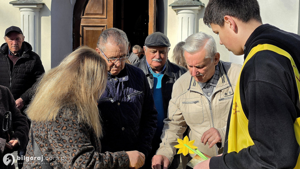 Żonkile nadziei w Biłgoraju. Wsparcie dla Hospicjum Santa Galla
