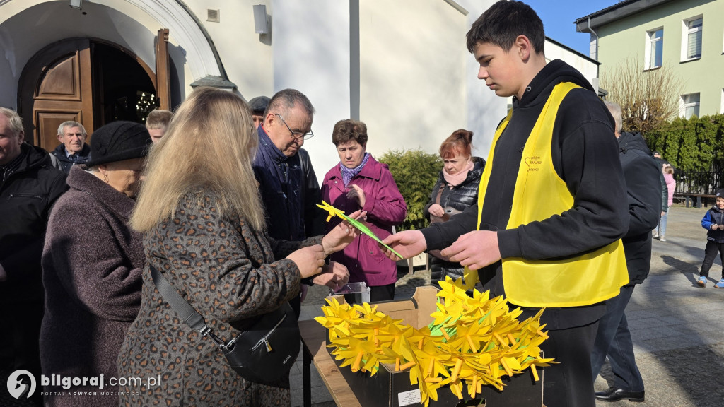 Żonkile nadziei w Biłgoraju. Wsparcie dla Hospicjum Santa Galla