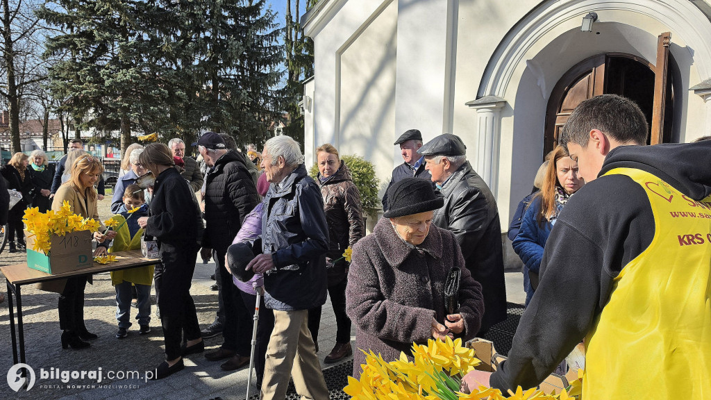 Żonkile nadziei w Biłgoraju. Wsparcie dla Hospicjum Santa Galla