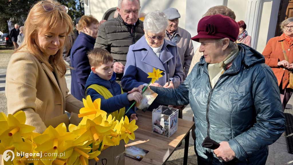 Żonkile nadziei w Biłgoraju. Wsparcie dla Hospicjum Santa Galla