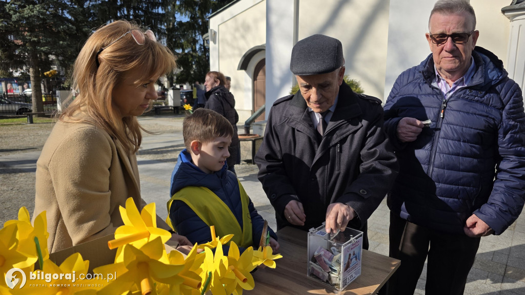 Żonkile nadziei w Biłgoraju. Wsparcie dla Hospicjum Santa Galla