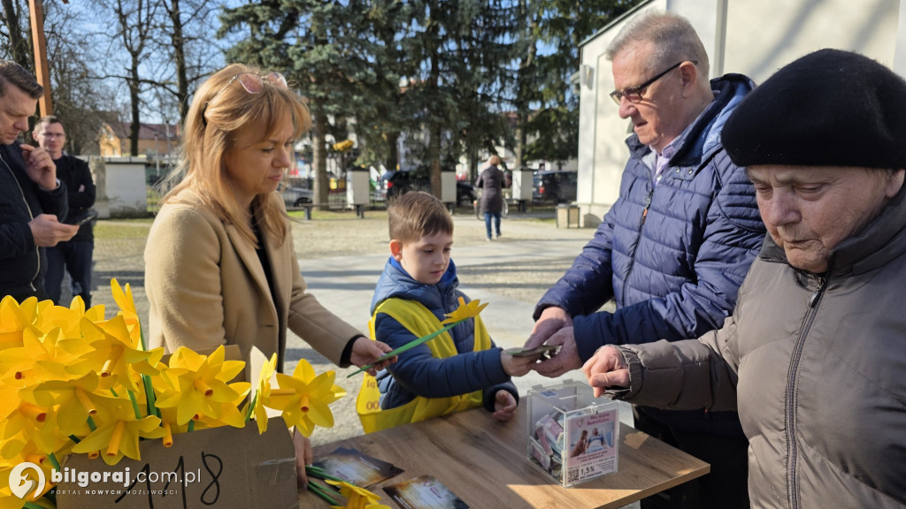 Żonkile nadziei w Biłgoraju. Wsparcie dla Hospicjum Santa Galla