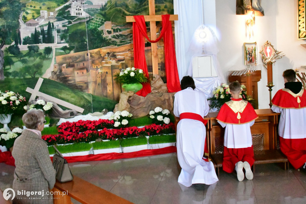 Ciemnice i Groby Pańskie od Biłgoraja po Górecko Kościelne