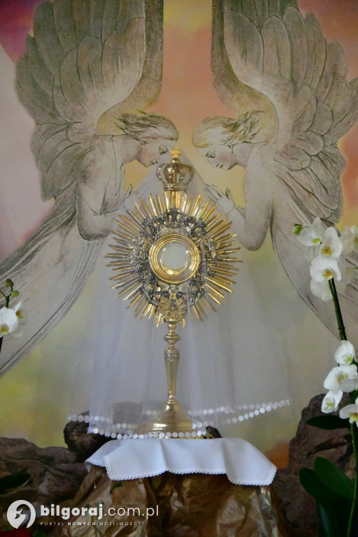 Ciemnice i Groby Pańskie od Biłgoraja po Górecko Kościelne