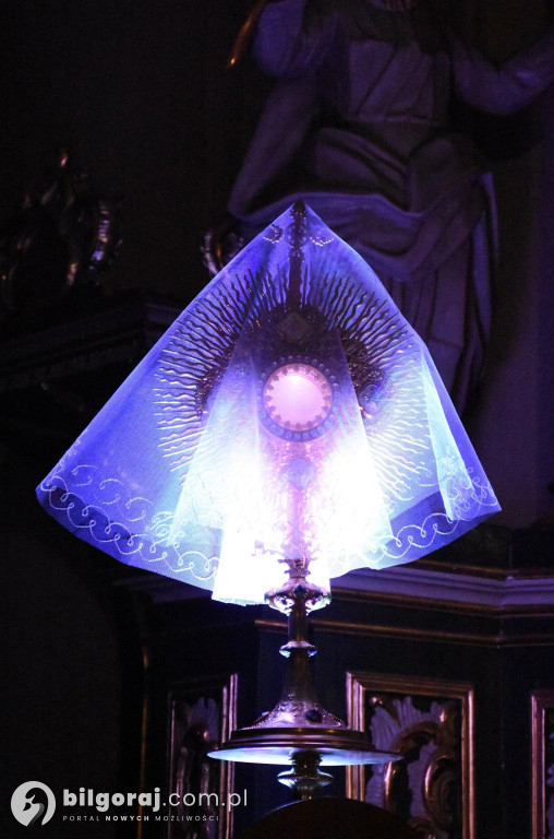 Ciemnice i Groby Pańskie od Biłgoraja po Górecko Kościelne