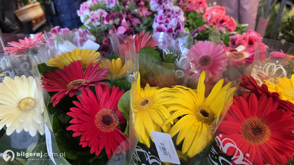 Raj dla miłośników roślin. Wielkie Targi Roślin w Biłgoraju!