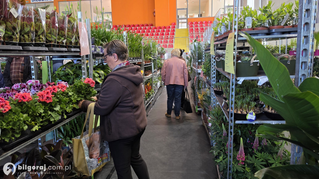 Raj dla miłośników roślin. Wielkie Targi Roślin w Biłgoraju!