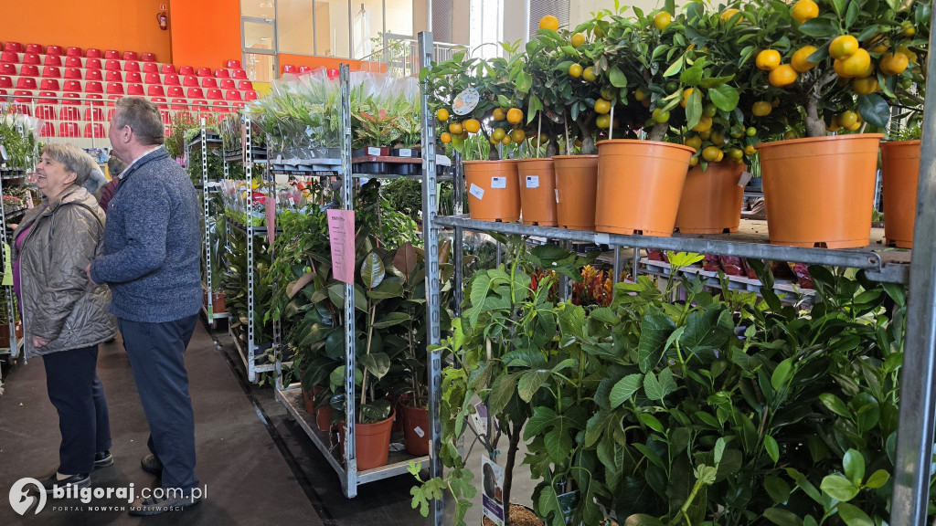 Raj dla miłośników roślin. Wielkie Targi Roślin w Biłgoraju!