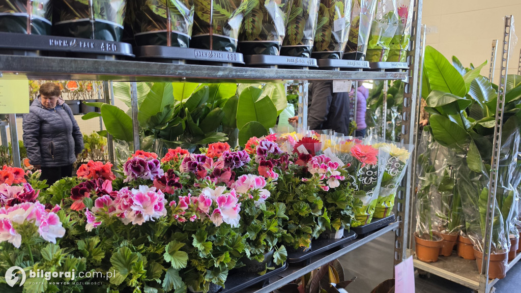 Raj dla miłośników roślin. Wielkie Targi Roślin w Biłgoraju!
