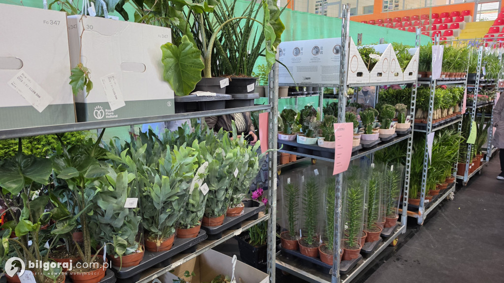 Raj dla miłośników roślin. Wielkie Targi Roślin w Biłgoraju!