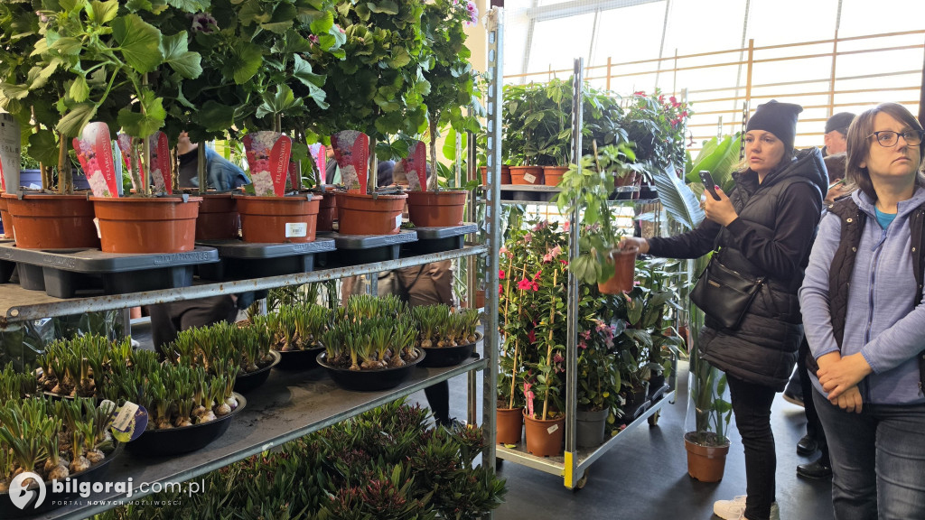 Raj dla miłośników roślin. Wielkie Targi Roślin w Biłgoraju!