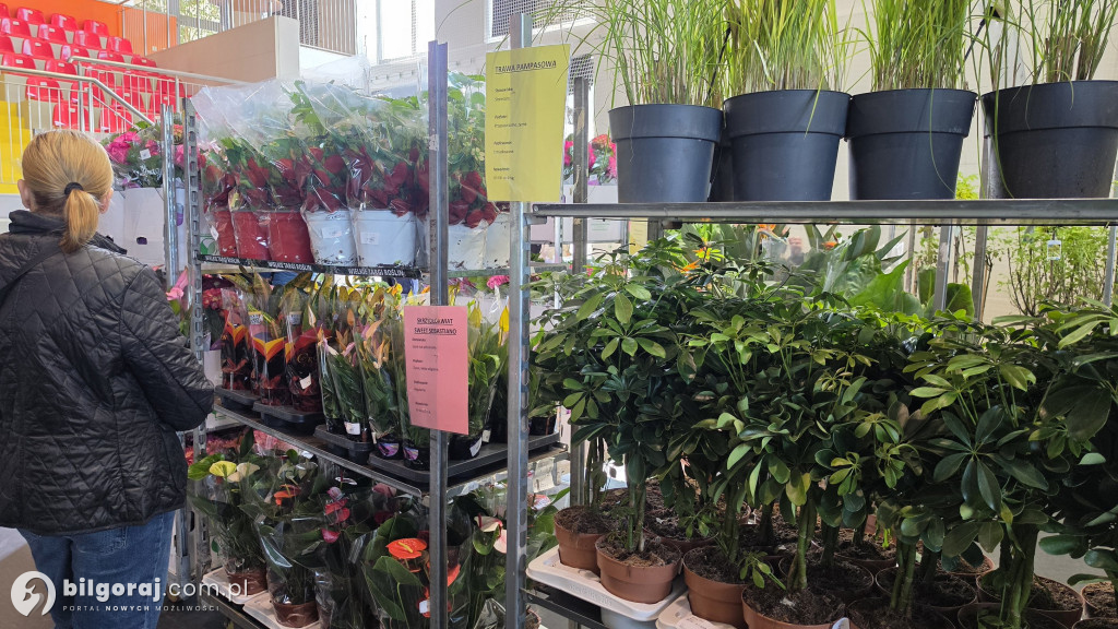 Raj dla miłośników roślin. Wielkie Targi Roślin w Biłgoraju!