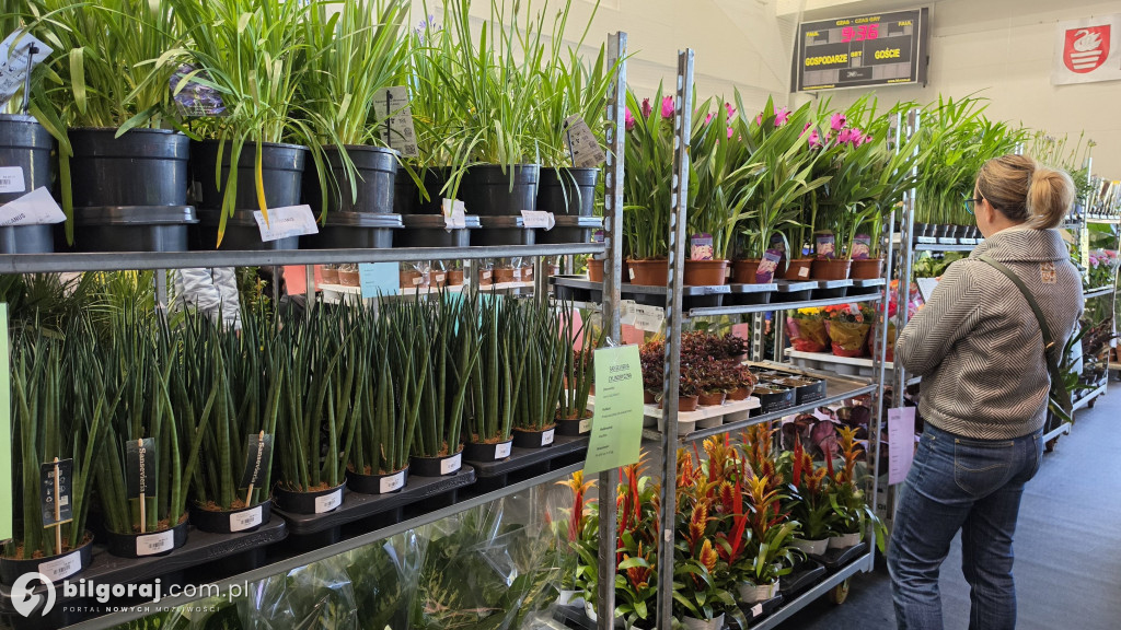 Raj dla miłośników roślin. Wielkie Targi Roślin w Biłgoraju!