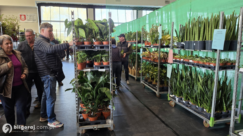 Raj dla miłośników roślin. Wielkie Targi Roślin w Biłgoraju!