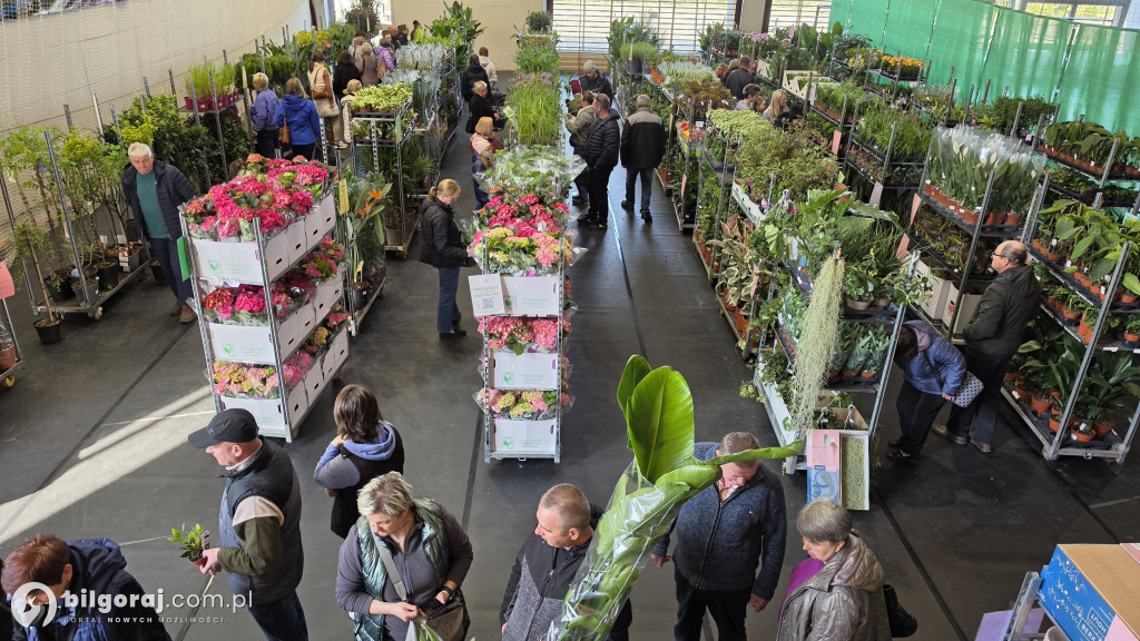 Raj dla miłośników roślin. Wielkie Targi Roślin w Biłgoraju!