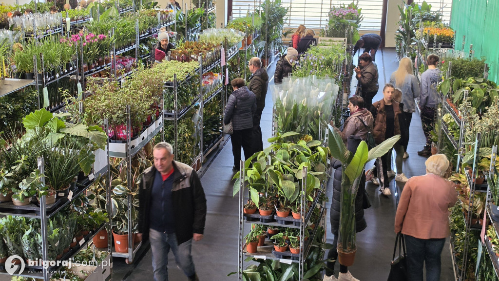 Raj dla miłośników roślin. Wielkie Targi Roślin w Biłgoraju!