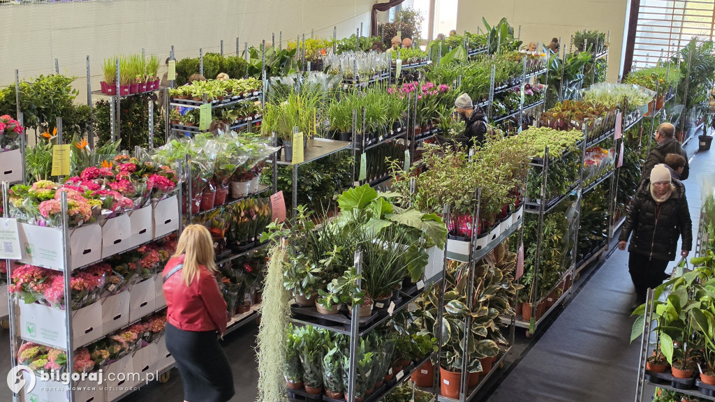 Raj dla miłośników roślin. Wielkie Targi Roślin w Biłgoraju!