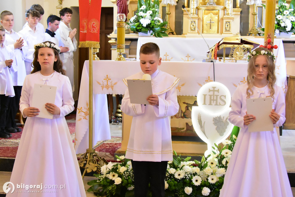 Biały maj w naszych parafiach - I Komunia Święta
