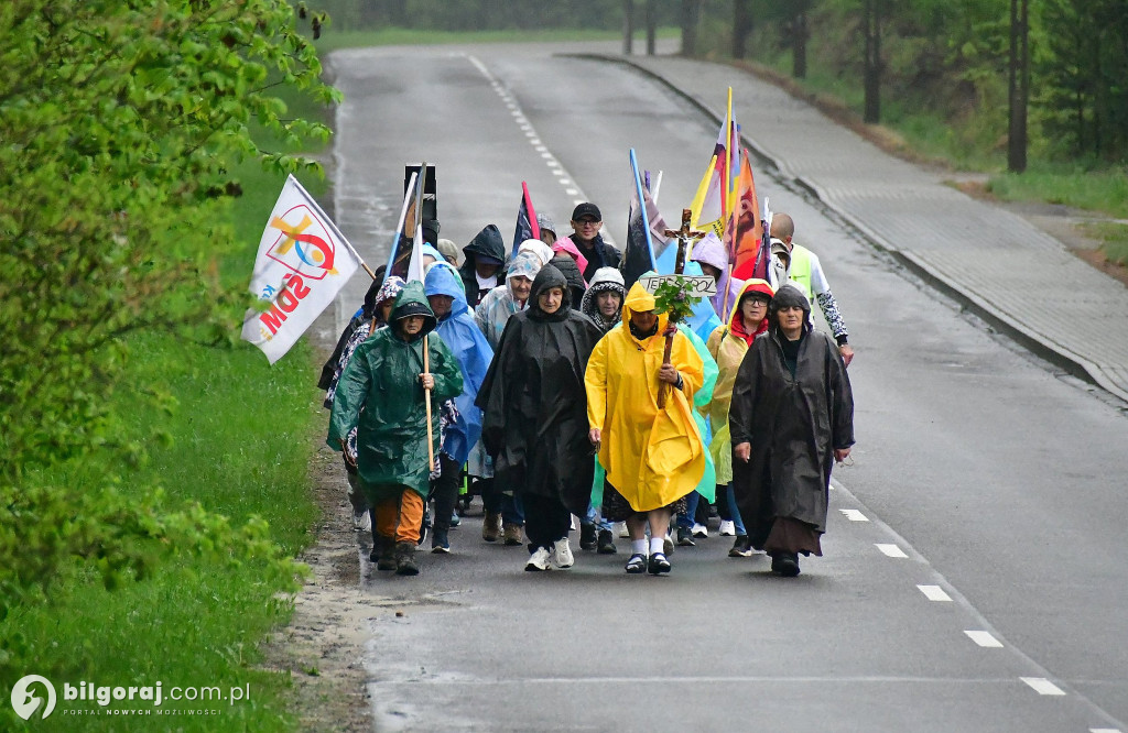 Pielgrzymi z Tereszpola idą do Górecka Kościelnego