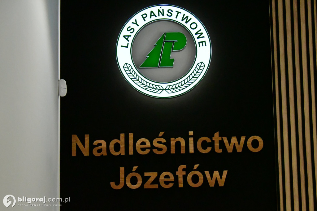 Leśnicy mówią o starta w Puszczy Solskiej