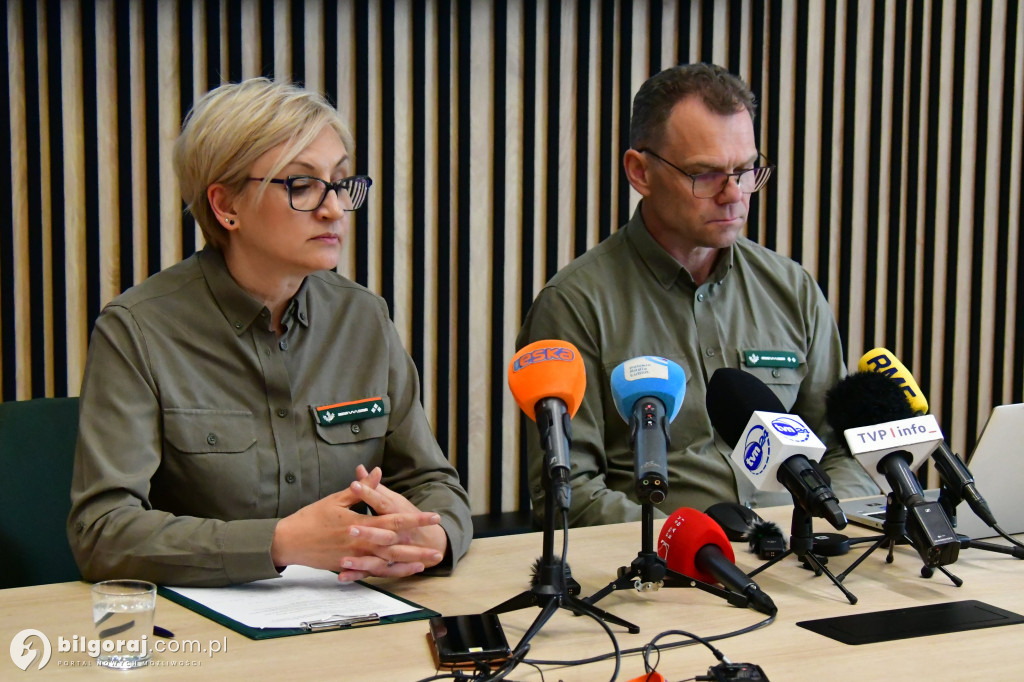 Leśnicy mówią o starta w Puszczy Solskiej