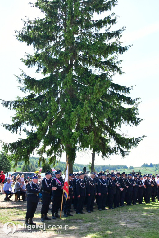Dwa jubileusze OSP w gminie Frampol