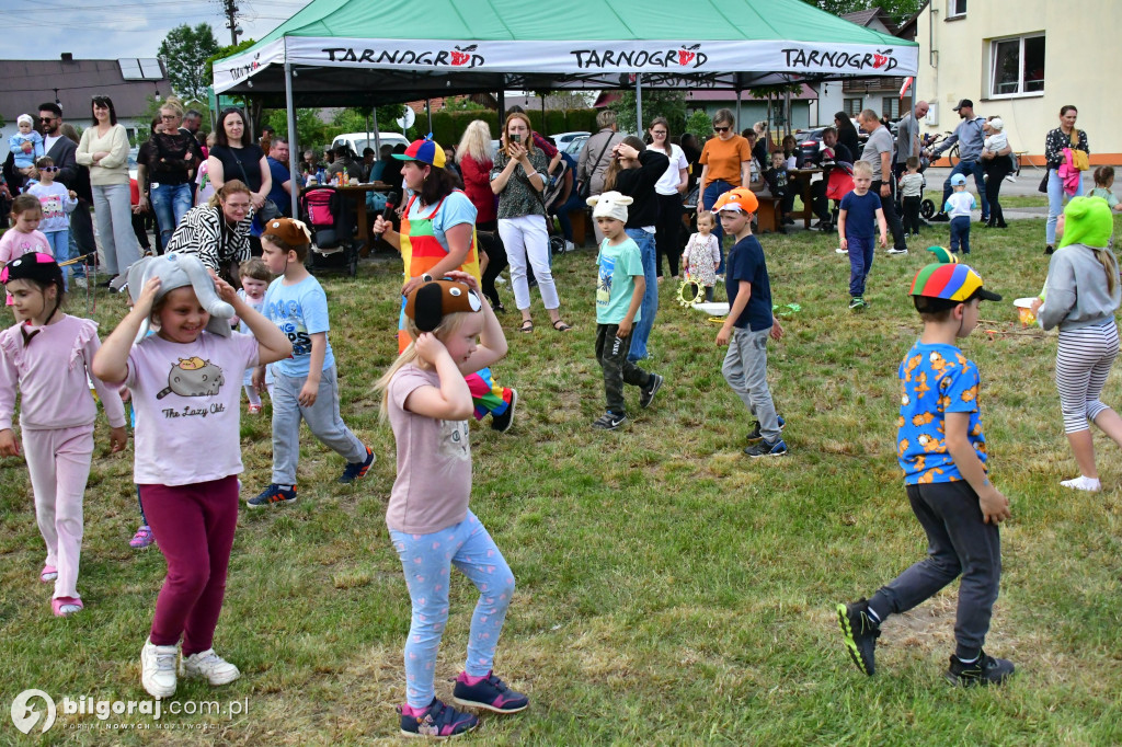 Piknik rodzinny i Dzień Dziecka w Luchowie Dolnym