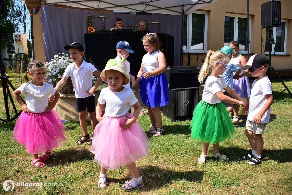 Piknik rodzinny w Woli Dereźniańskiej
